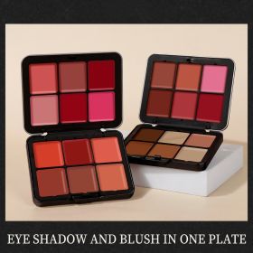 Skin Color Multicolor Rouge Compact Concealer Plate